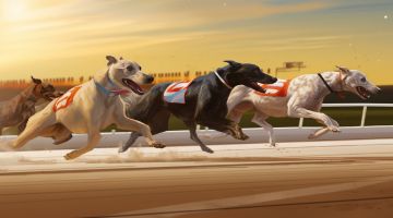 Greyhound Racing